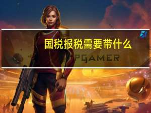 国税报税需要带什么