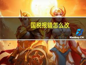 国税报错怎么改