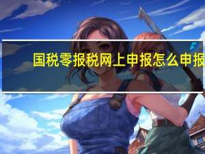 国税零报税网上申报怎么申报