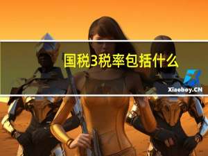 国税3%税率包括什么