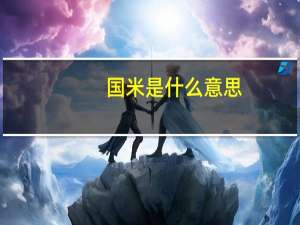 国米是什么意思