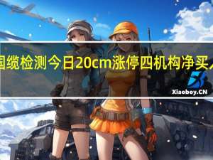 国缆检测今日20cm涨停 四机构净买入9278.62万元