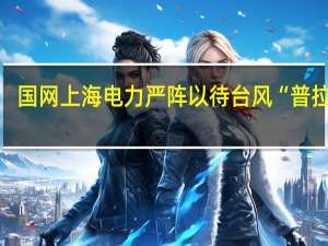 国网上海电力严阵以待台风“普拉桑”：全力保障电网安全