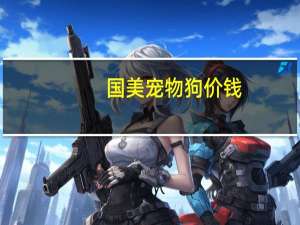 国美宠物狗价钱