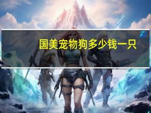 国美宠物狗多少钱一只