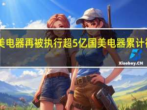 国美电器再被执行超5亿 国美电器累计被执行17.6亿