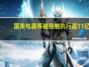 国美电器等被强制执行超11亿