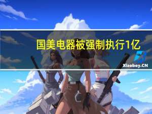 国美电器被强制执行1亿