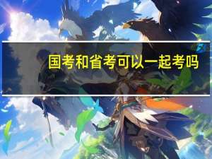 国考和省考可以一起考吗