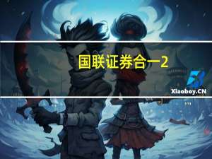 国联证券合一2.0（国联证券合一版20）