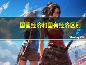 国营经济和国有经济区别