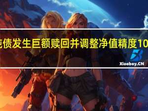 国融稳泰纯债发生巨额赎回并调整净值精度 10月以来已有13只