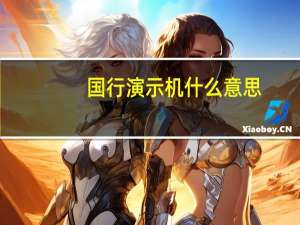 国行演示机什么意思