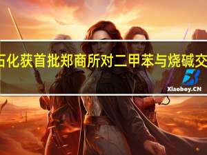 国贸石化获首批郑商所对二甲苯与烧碱交割厂库资质