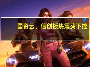 国资云、信创板块震荡下挫