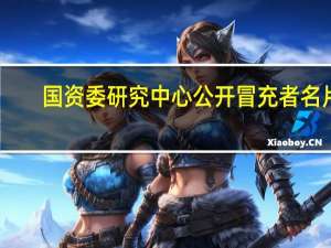 国资委研究中心公开冒充者名片