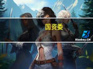 国资委：制定核心企业注资规划