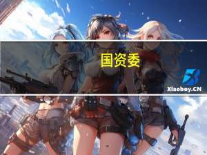 国资委：加快构建以新能源为主体的新型电力系统