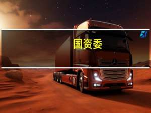 国资委：抓紧打造一批具有国际竞争力的战略性新兴产业集群和产业领军企业