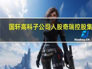 国轩高科子公司入股奇瑞控股集团