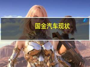 国金汽车现状