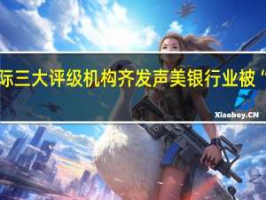 国际三大评级机构齐发声 美银行业被“亮红灯”