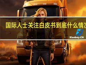 国际人士关注白皮书 到底什么情况嘞