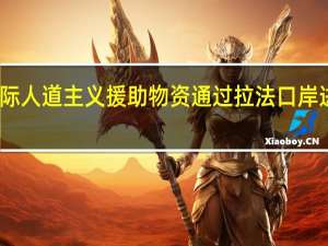 国际人道主义援助物资通过拉法口岸进入加沙