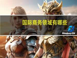 国际商务领域有哪些