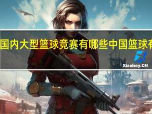 国际国内大型篮球竞赛有哪些 中国篮球有哪些联赛