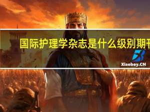 国际护理学杂志是什么级别期刊