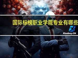 国际标榜职业学院专业有哪些