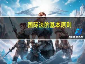 国际法的基本原则（国际法的基本原则）