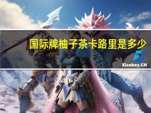 国际牌 柚子茶卡路里是多少