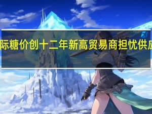 国际糖价创十二年新高 贸易商担忧供应链风险