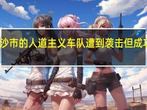 国际红十字会表示周二在加沙市的人道主义车队遭到袭击但成功将医疗物资送到了阿尔希法医院