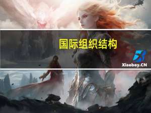 国际组织结构
