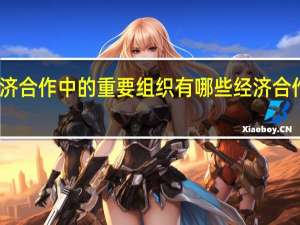 国际经济合作中的重要组织有哪些 经济合作与发展组织