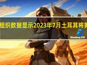 国际货币基金组织数据显示2023年7月土耳其将黄金持有量减少了10.9吨至658.925吨