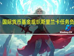 国际货币基金组织斯里兰卡任务负责人：关键的下一步将是与债权人确保债务处理的事项