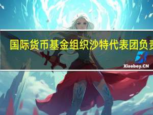 国际货币基金组织沙特代表团负责人：将下调对沙特阿拉伯2023年GDP增长为1.9%的预测以反映其延长石油减产措施但仍将保持乐观