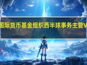 国际货币基金组织（IMF）西半球事务主管Valdes：需要对阿根廷经济危机采取更迅捷的行动如果阿根廷进行货币美元化将需要设法稳定其储备水平