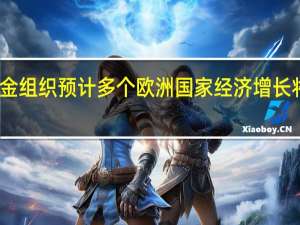 国际货币基金组织预计多个欧洲国家经济增长将放缓至接近停滞