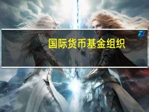 国际货币基金组织：对美国债券的抛售可能反映市场上的额外供应量