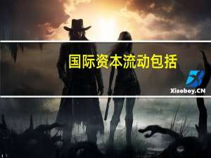 国际资本流动包括