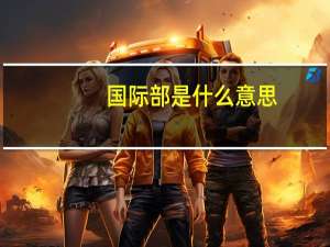 国际部是什么意思