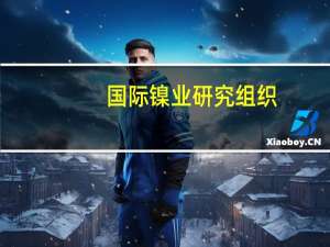 国际镍业研究组织（INSG）：预计全球镍需求将在2024年增至347万吨2023年为320万吨