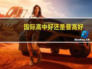 国际高中好还是普高好