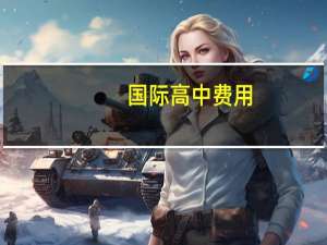 国际高中费用