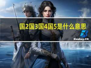 国2国3国4国5是什么意思（国4国5是什么意思）